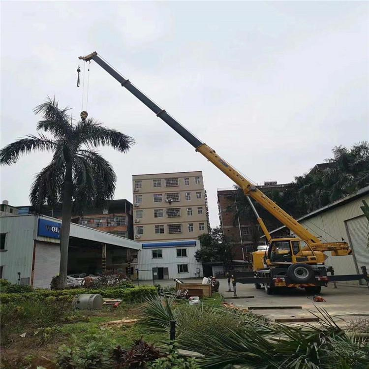 桐庐县汽车吊出租多少钱？全面解析与市场行情